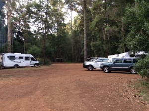 Big Brook Arboretum, Pemberton, WA