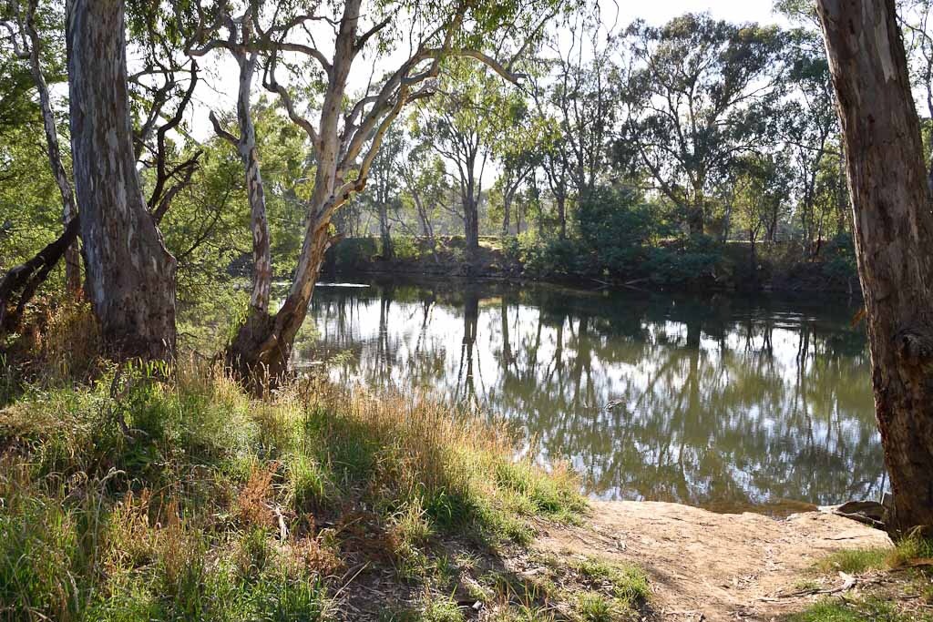 Goulburn River at Seymour