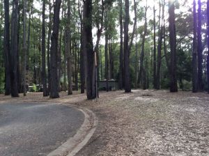 Rawson Caravan Park