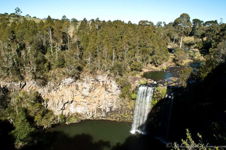 Dangar Falls, Dorrigo