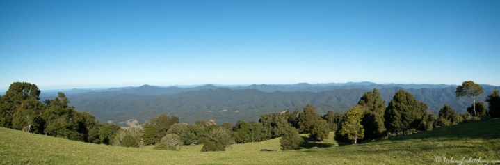 Griffiths Lookout Dorrigo