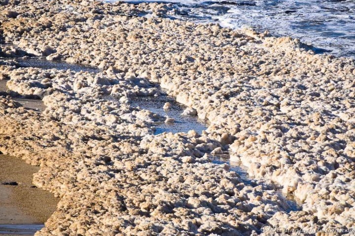 Shelly Beach, Ballina, NSW