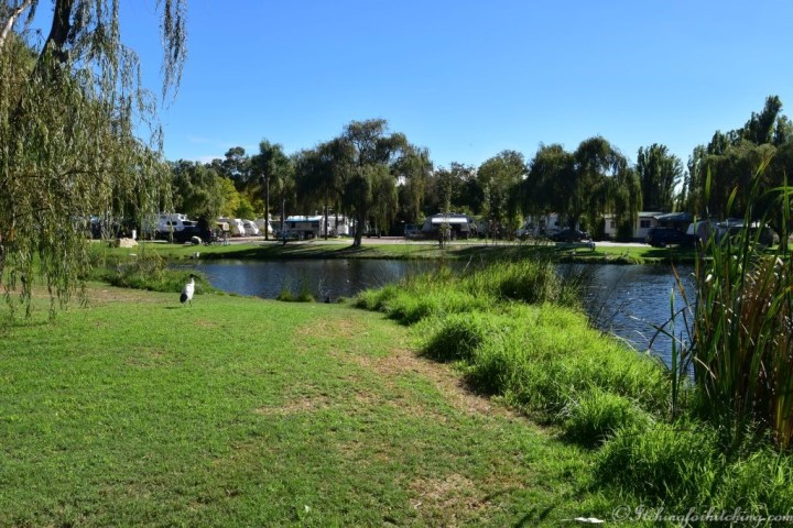 Karrinyup Waters 1