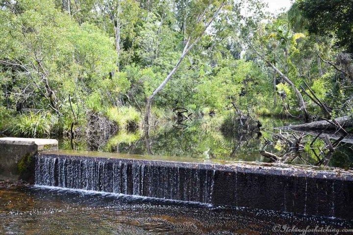 20180723-DSC_0080 - Copy - Copy - Copy