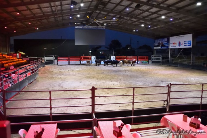 20180725-DSC_0088 - Copy (2)