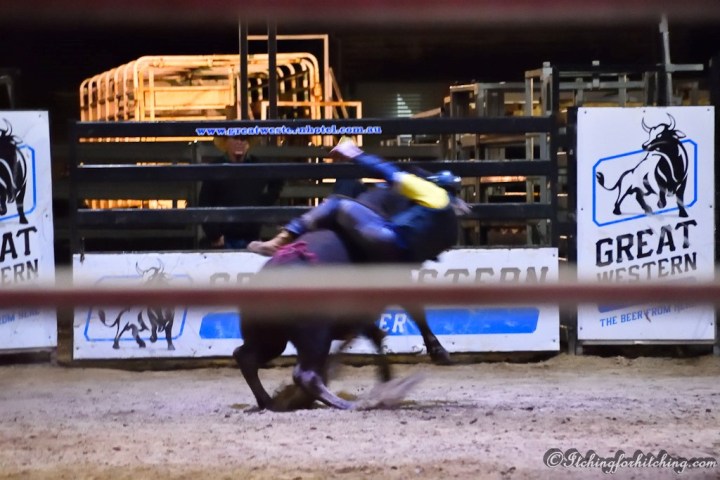 20180725-DSC_0107 - Copy