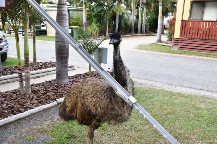 20180720-DSC_0070 - Copy - Copy