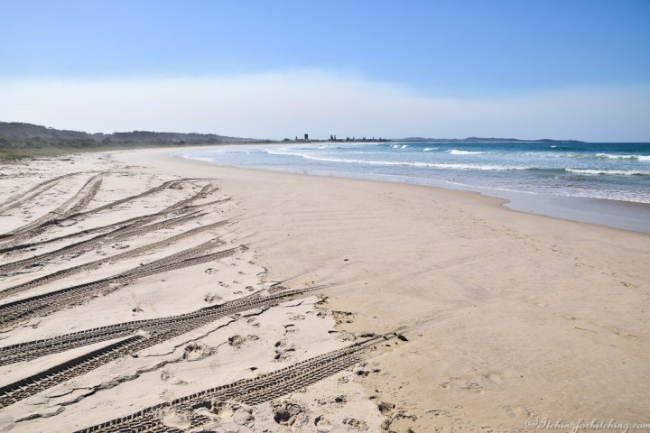 20190904-DSC_0093_01