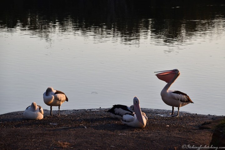 20190904-DSC_0101_01