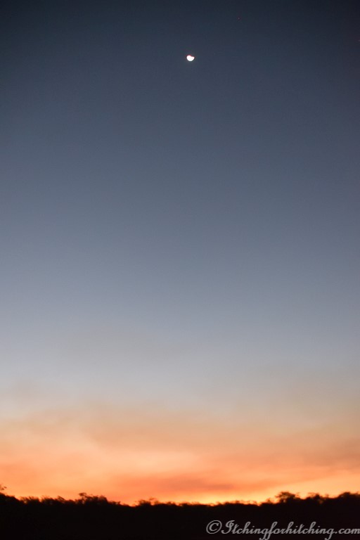 20190904-DSC_0122_01