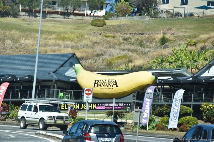 20190905-DSC_0133_01