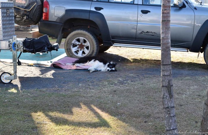 20190908-DSC_0213_01