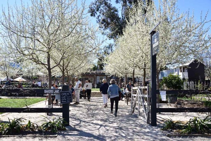 20190914-DSC_0298_01